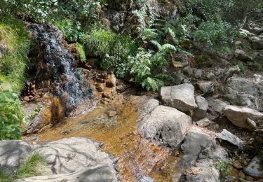 Trail Walking Conca - eta 2 - Photo