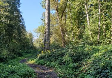 Randonnée A pied Genappe - Balade de Bousval à Tangissart - Photo