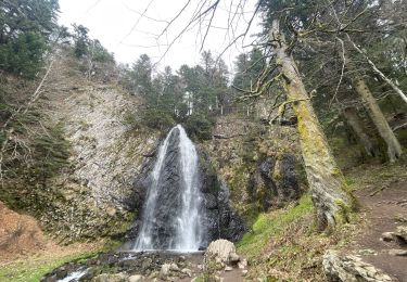 Percorso Marcia Chambon-sur-Lac - Boucle du col de la croix Morand - Photo