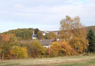 Tour Zu Fuß Gladenbach - Extratour Postraubroute - Photo