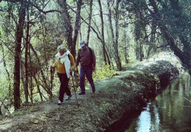 Percorso Marcia Le Thoronet - le thoronet_pont d'argent_canal ste croix - Photo