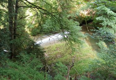 Randonnée Marche Grünenbach - eistobel - Photo