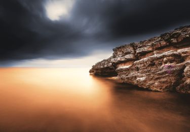 Tocht Te voet Martigues - Le Cap Couronne - Photo