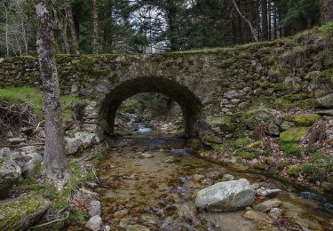 Tour Zu Fuß Rosis - Le Vialaïs - Photo