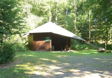 Randonnée A pied Lahnstein - Wanderweg Forsthaus-Weg FH - Photo