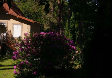 Trail Walking Varengeville-sur-Mer - varengeville - Photo