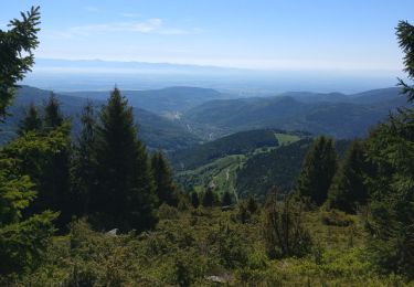 Tour Wandern Metzeral - rando vosges grand ballon - Photo