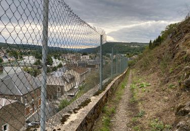 Tour Wandern Vireux-Molhain - Vireux Molin 10 km - Photo