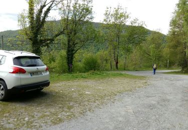 Percorso A piedi Salles - SALLES-ARGELES col d'Andorre et soum de Leiz (ou pas)  2796042 - Photo