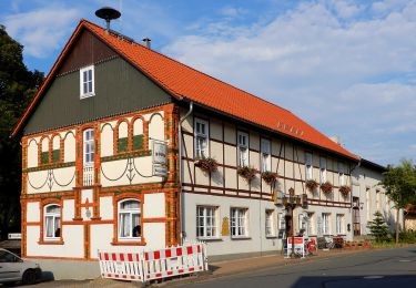 Randonnée A pied Südharz - Wanderweg 