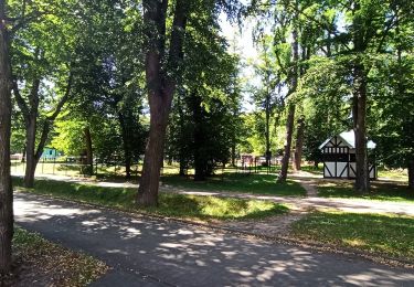 Randonnée A pied Prudnik - Szlak Lasów Królewskiego Miasta Prudnika - Photo