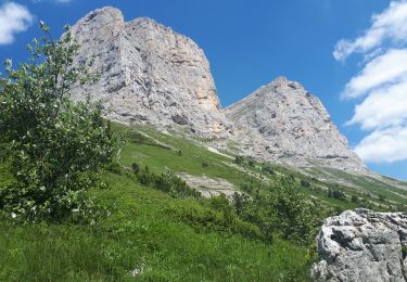 Trail Walking Château-Bernard - Balcon des 2 Soeurs en circuit - Photo