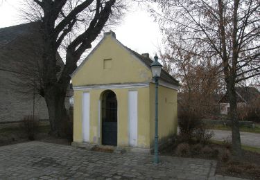 Percorso A piedi Gemeinde Poysdorf - Poysbrunner Weg - Photo