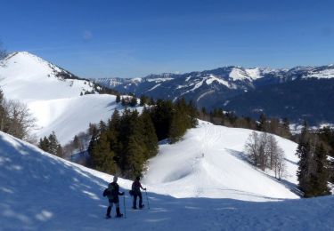 Tour Schneeschuhwandern Sarcenas - col de porte CHARMANT SOM - Photo