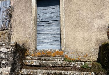 Trail Walking Saint-Jean-de-Laur - Limogne au nord-est  - Photo