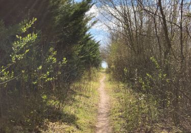 Trail Walking Sains-en-Amiénois - Sains en Amiénois - Photo