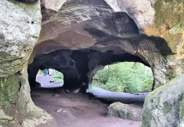 Percorso A piedi Echternacherbrück - Felsenweg 1 - Photo