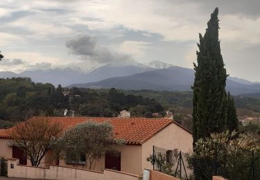 Tocht Stappen Céret - mon balcon de Céret - Photo