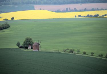 Excursión A pie Pačlavice - [Ž] Nad Kozojedskem - Lhota u Pačlavic - Photo