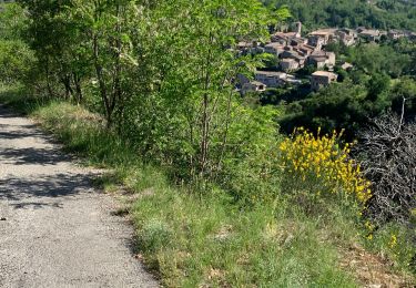 Tour Wandern Coux - Coux - Photo