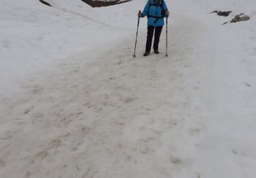 Trail Walking Le Grand-Bornand - legrand bornand nant le bouchet - Photo