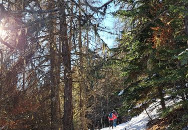 Percorso Racchette da neve Crots - EMBRUN Jour 2 : Abbaye de Boscodon - Le Cirque de Morgon - Photo