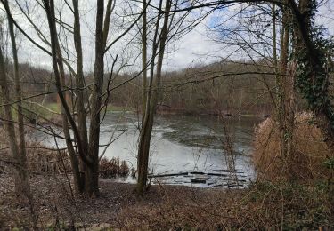 Trail Walking Clamart - La forêt de Meudon - Photo