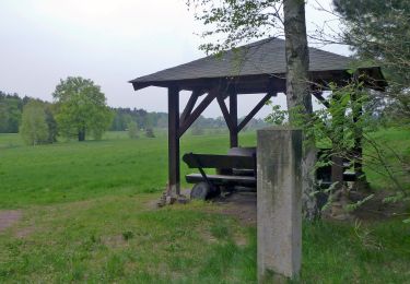 Randonnée A pied Belgern-Schildau - Rundweg Schildau - Photo