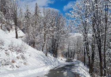 Excursión Senderismo Valloire - poingt Ravier - Photo