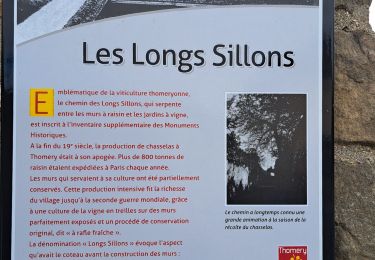 Trail Walking Fontainebleau - thomery3 - Photo