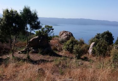 Randonnée Marche Ajaccio - sentier des crêtes ajaccio - Photo