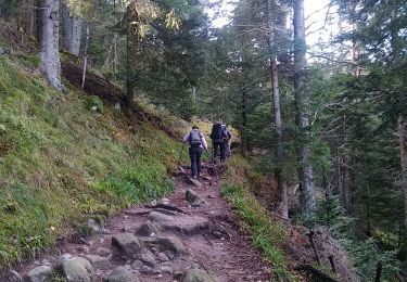 Tour Wandern Urbeis - Lac Forlet  - Photo