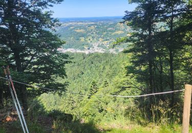 Randonnée Trail La Bourboule - la bourboule,  le vendeix, la roche de l'aigle  - Photo