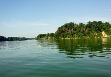 Trail Canoe - kayak Fribourg - Freiburg - padel - Photo