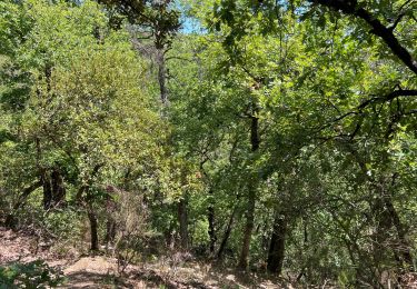 Tour Wandern Saint-Péray - Toulaud  - Photo