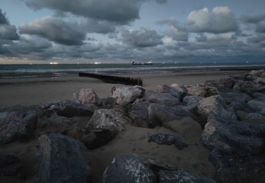 Tour Andere Aktivitäten Sangatte - Ballade le long de la plage de Sangatte  - Photo