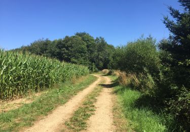 Tocht Stappen Tintigny - La Rando du Bian: Autour de Lahage ( variante)  - Photo