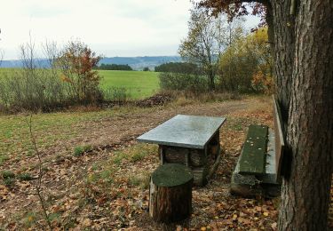 Randonnée A pied Emtmannsberg - Speichersdorf Rundwanderweg Nr . 4 - Photo