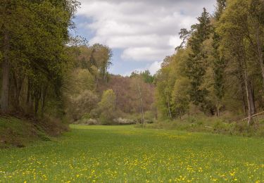 Trail On foot Kipfenberg - Rundwanderweg Kipfenberg 6 - Photo