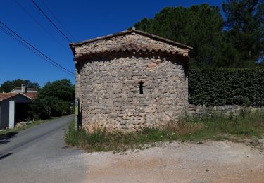 Trail Walking Carcès - La vallée de l'Argens-03-0621 - Photo