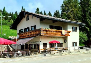 Tour Zu Fuß Bayrischzell - Wendelstein - Sudelfeld Passhöhe - Photo