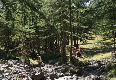 Tocht Stappen Puy-Saint-Vincent - Fête de l'alpage 9 août 2019  - Photo