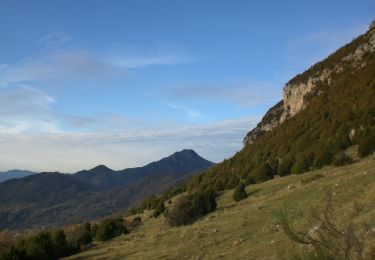 Randonnée A pied Ogassa - Ogassa-Sant Martí Surroca - Photo