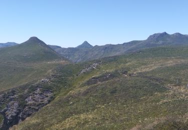 Excursión Ruta Laveissière - Puy de Peyre Arse/ Puy Bataillouse / Téton de Vénus et Rocher du bec de l'aigle  - Photo