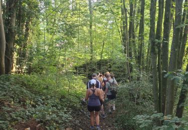 Percorso Camminata nordica Neupré - gxc - Photo
