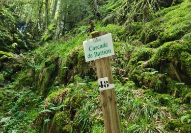 Trail Walking Rochesson - cascades du bouchot  - Photo