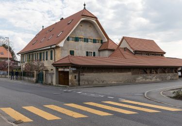 Excursión A pie Murten - Schlacht-Denkmal - fixme - Photo