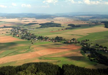 Trail On foot Machov - [Ž] Pánův kříž - Bor - Photo