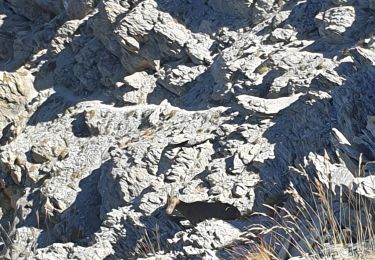 Excursión Senderismo Enchastrayes - Chapeau de gendarme avec T S - Photo