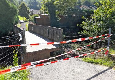 Tour Zu Fuß Fels - M4 - Medernach - Photo